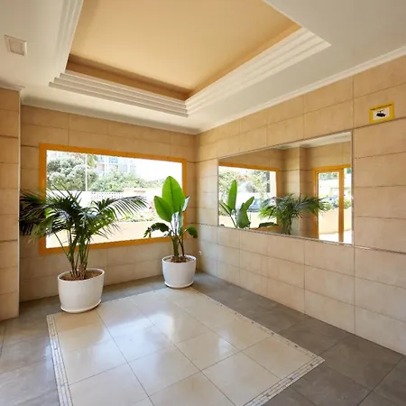 Ambar 17b2 卡尔佩